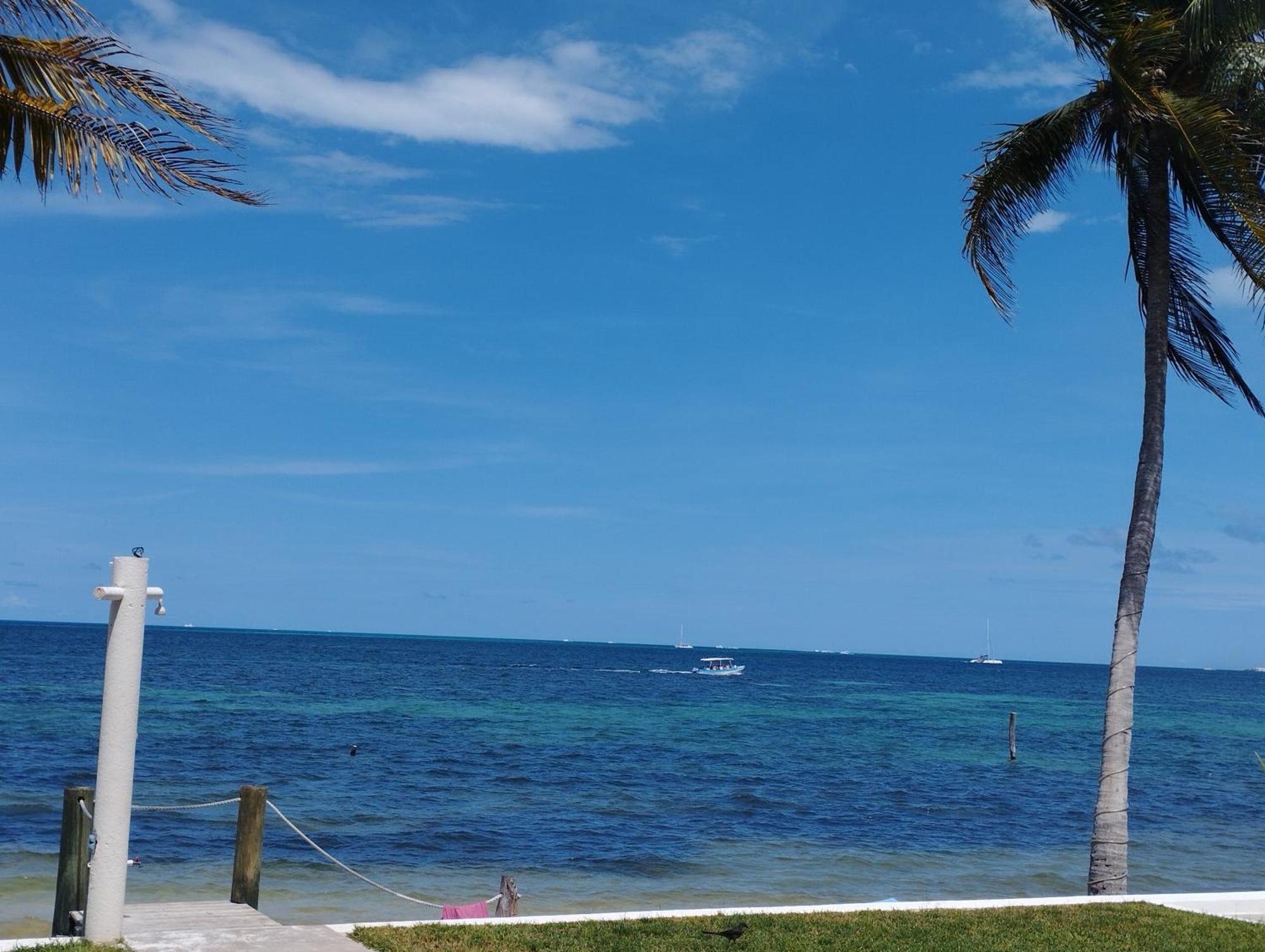 Cancun Ocean View Flamingo Plus Екстер'єр фото